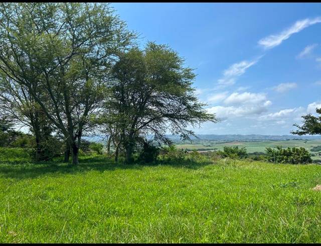 LAND FOR SALE IN ZINI RIVER ESTATE